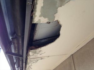 IMG_3077_R