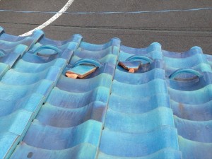 IMG_3259_R