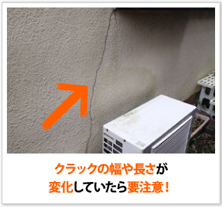 morutaru_jpg_-27 morutaru_jpg_-27