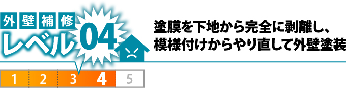 morutaru_jpg_-31 morutaru_jpg_-31
