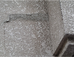 morutaru_jpg_-32 morutaru_jpg_-32