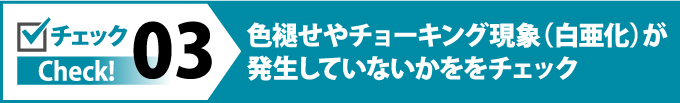 morutaru_jup-13 morutaru_jup-13