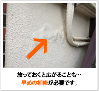 morutaru_jup-17 morutaru_jup-17