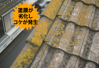 yaneho-16 塗膜が劣化しコケが発生