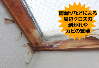 yaneho-51 雨漏りなどによる周辺クロスの剥がれやカビの繁殖