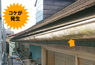 yaneho-60 コケが発生