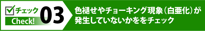 yougyou_jup-12 yougyou_jup-12-1