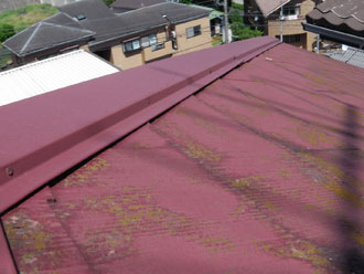 横浜市中区　屋根点検　塗装劣化　コケ発生