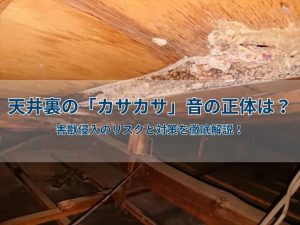 天井裏の「カサカサ」音の正体は?害獣侵入のリスクと対策を徹底解説!