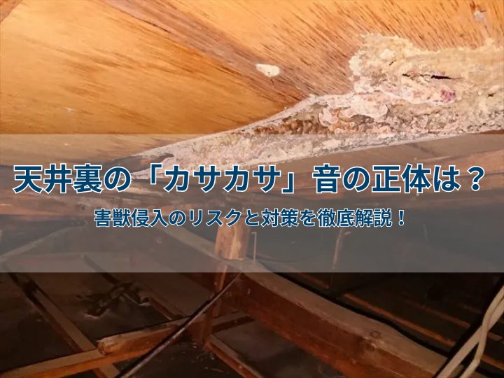 天井裏の「カサカサ」音の正体は？害獣侵入のリスクと対策を徹底解説！