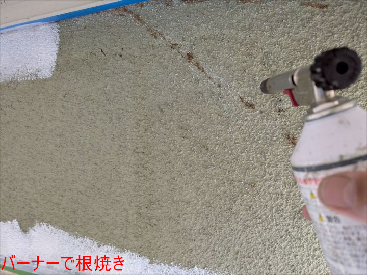 バーナーで根焼き