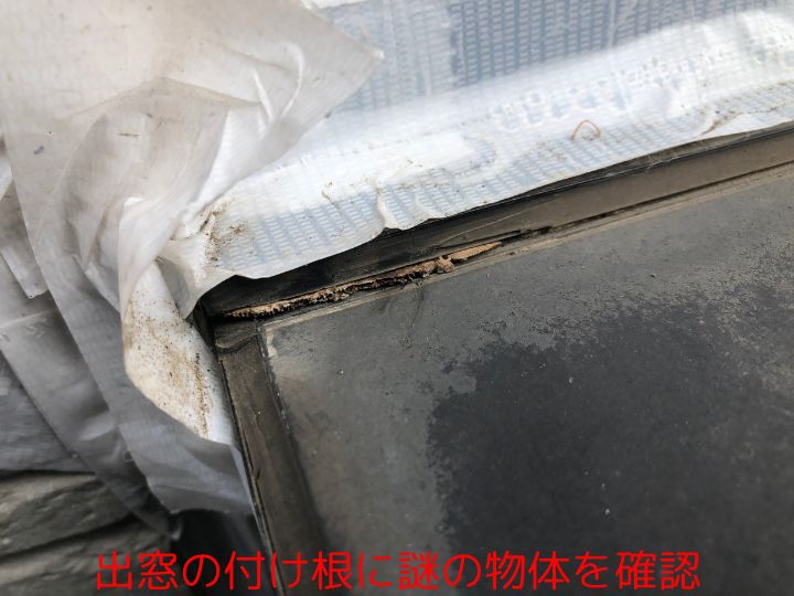 出窓の付け根に謎の物体を確認