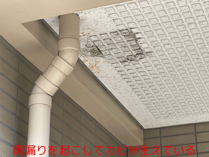 雨漏りを起こしてカビが生えている