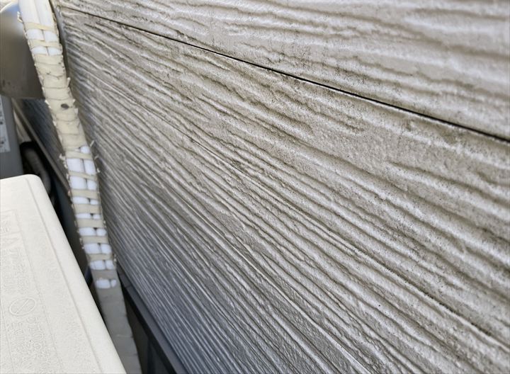 サイディングにうっすらと藻が生えています