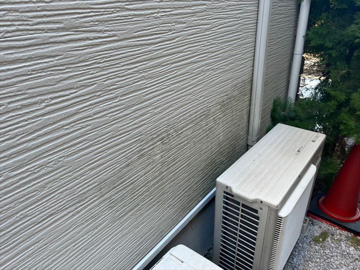外壁のコケ