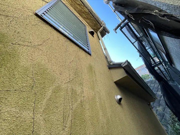 色褪せ・苔の繁殖が確認できる外壁