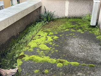 横浜市緑区上山で防水層からの雨漏りを調査しました