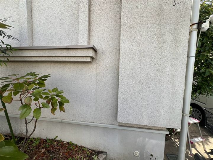 調査時