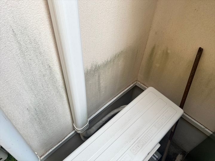 壁下部に広がる汚れ跡