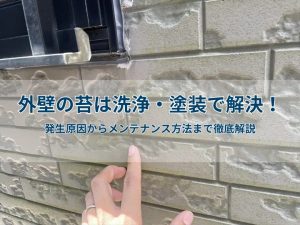 外壁の苔は洗浄・塗装で解決!発生原因からメンテナンス方法まで徹底解説