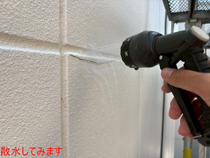 散水してみます