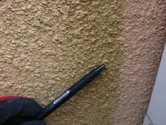 モルタル外壁の苔