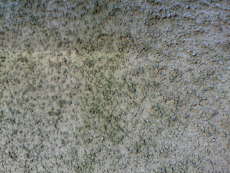 横浜市鶴見区　リシンの壁に苔が生えている