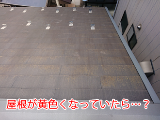 横浜市金沢区能見台で屋根調査。ご自宅のスレート屋根は黄色くなっていませんか？
