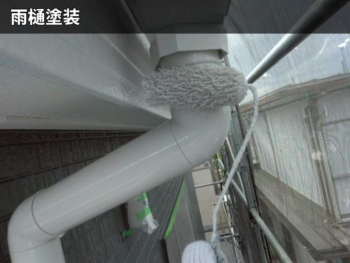 雨樋の上塗り作業