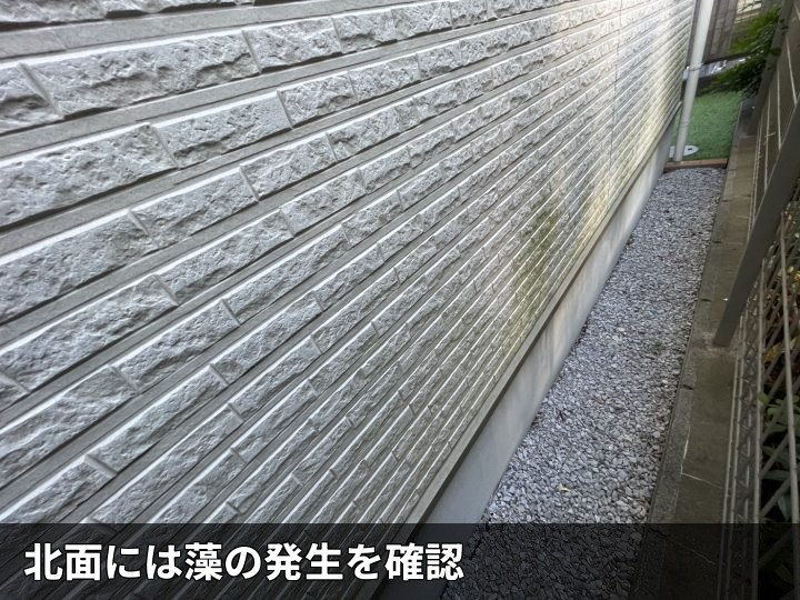 北面外壁の藻の発生