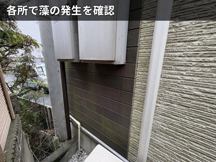 外壁側面の藻の発生