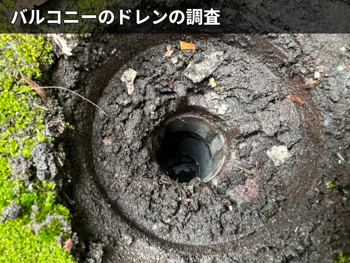 詰まり気味の排水口