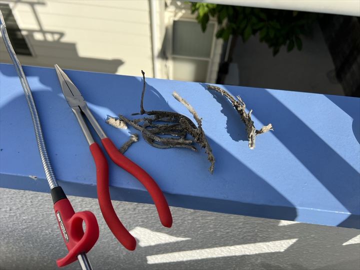 様々な道具で取り出してみる