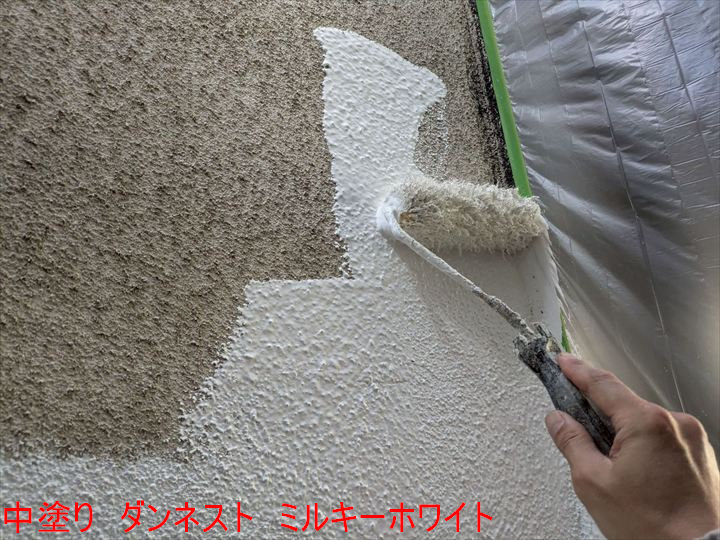 中塗り　ダンネスト　ミルキーホワイト