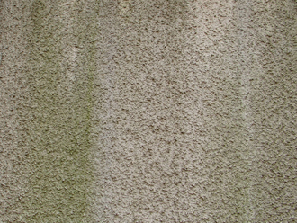 藻などが付着したモルタルの外壁