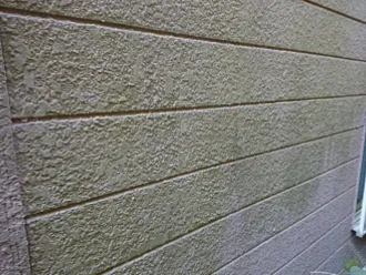 苔が繁殖したサイディング外壁