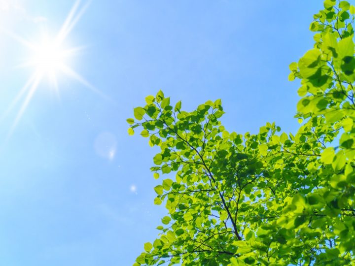 太陽のイメージ