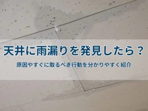 天井に雨漏りを発見したら?原因やすぐに取るべき行動を分かりやすく紹介