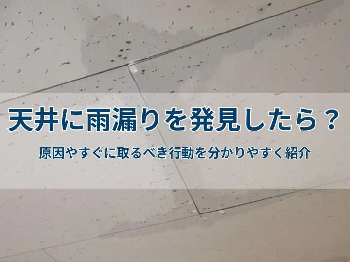 天井に雨漏りを発見したら?原因やすぐに取るべき行動を分かりやすく紹介