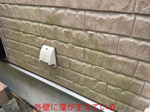 外壁に藻が生えている