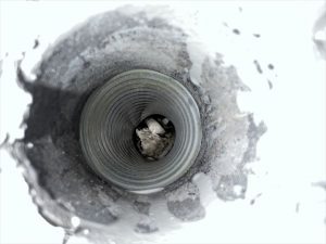 排水口に捨てられたごみ詰まり