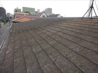 苔が生えているスレート屋根