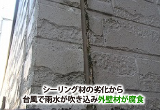 シーリング材劣化で台風により外壁材が腐食