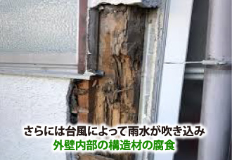 台風で外壁内部の構造材が腐食