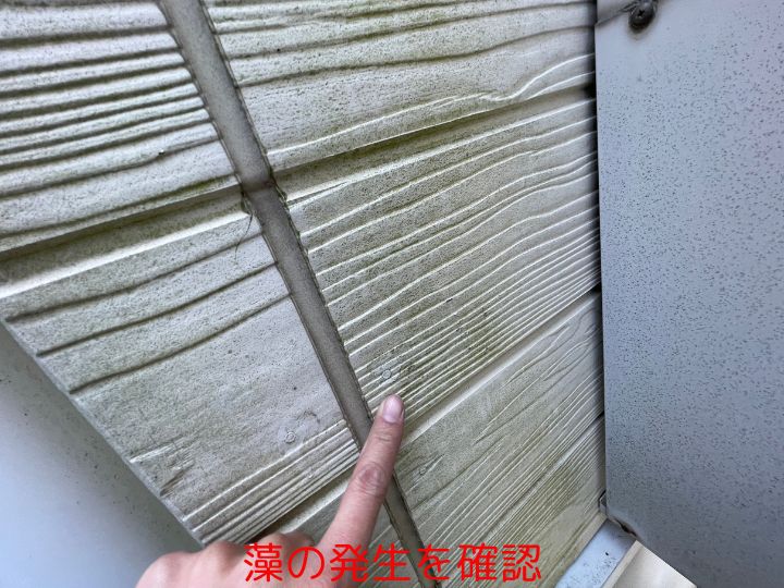 藻の発生を確認