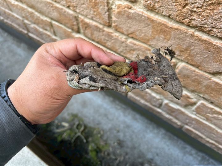 ドレンの排水不良の原因