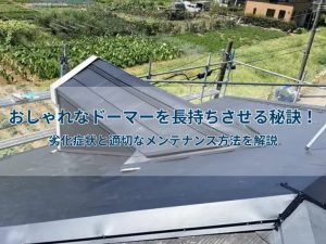 おしゃれなドーマーを長持ちさせる秘訣！劣化症状と適切なメンテナンス方法を解説