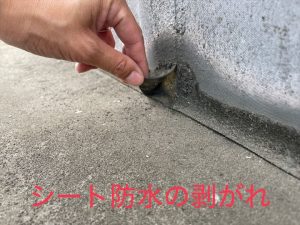シート防水の剥がれ