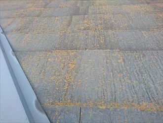 茅ヶ崎市赤羽根にて経年劣化の症状が現れ始めた屋根と外壁を点検しました
