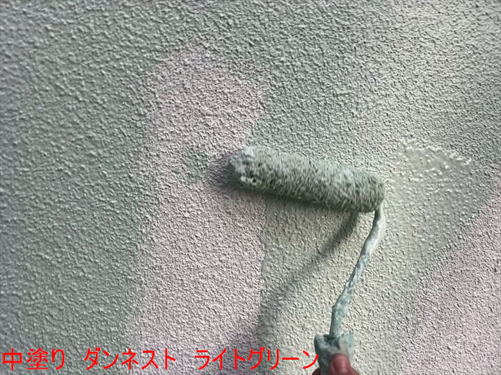中塗り ダンネスト ライトグリーン